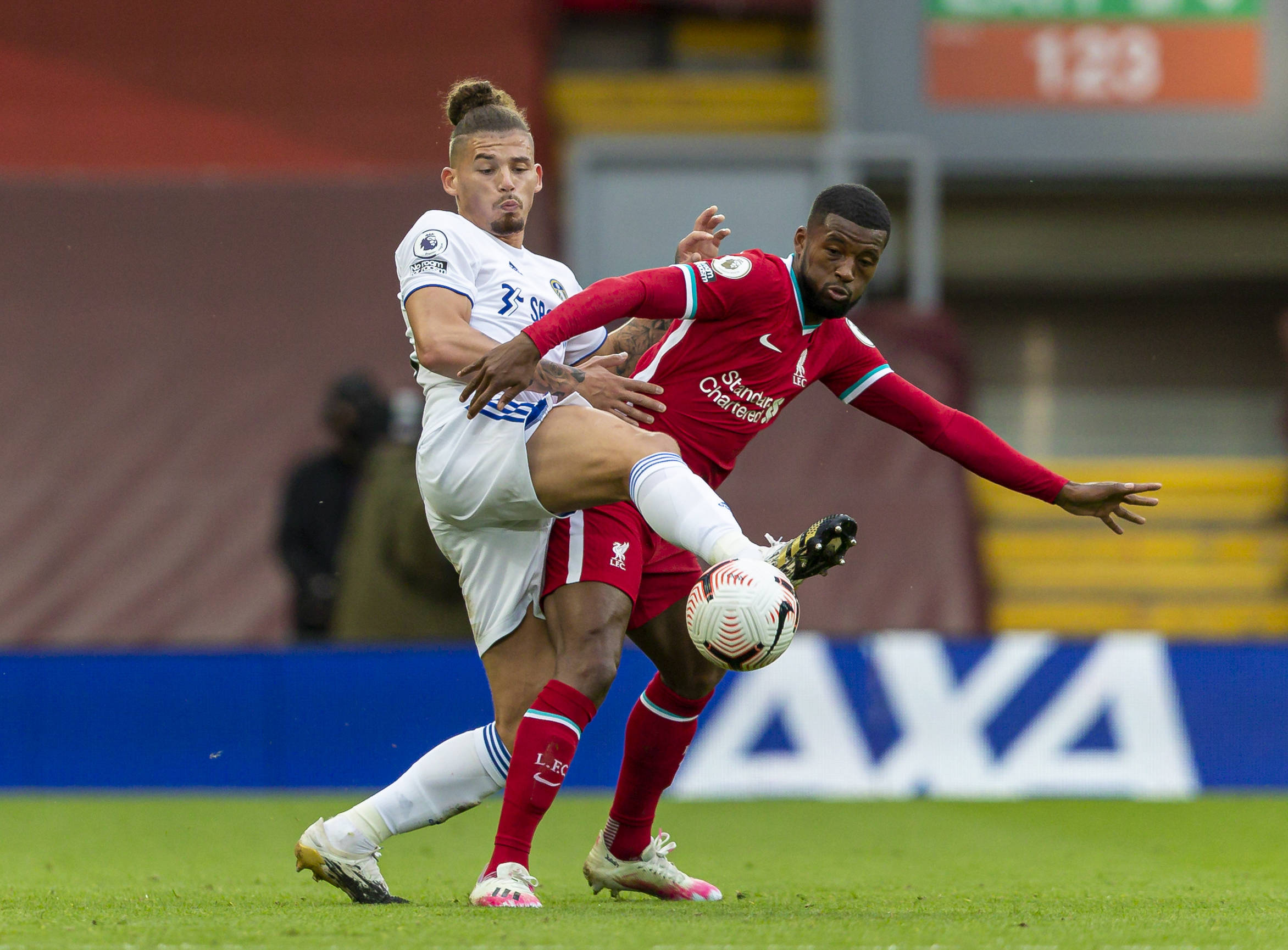 从专业角度 从专业角度