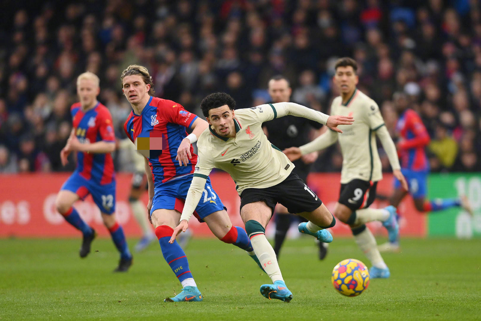 专注于恢复 专注于恢复